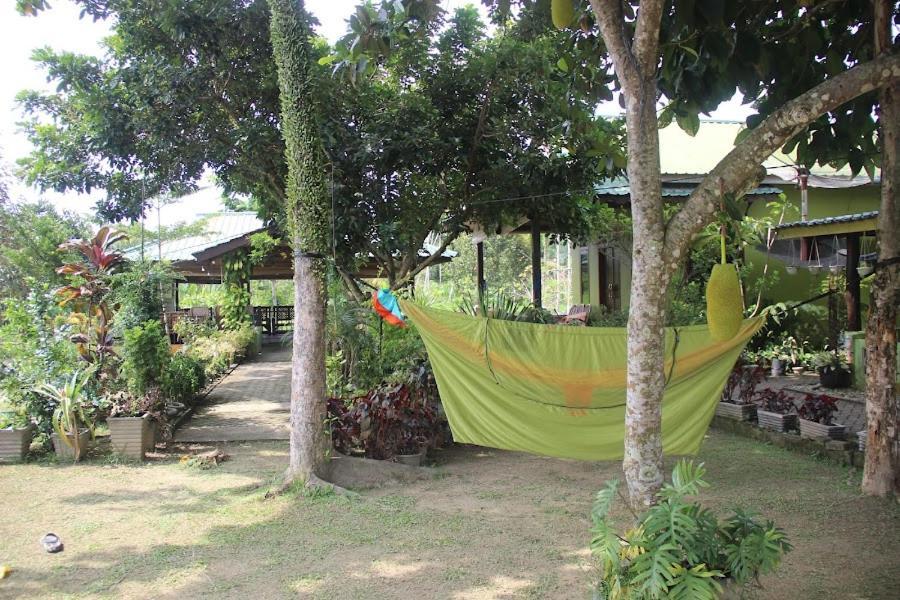 בוקיט לוואנג Ambow Homestay Jungle Trekking & Village Tour מראה חיצוני תמונה