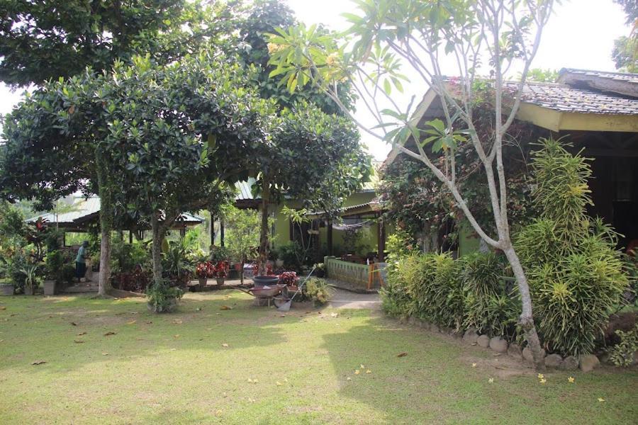 בוקיט לוואנג Ambow Homestay Jungle Trekking & Village Tour מראה חיצוני תמונה