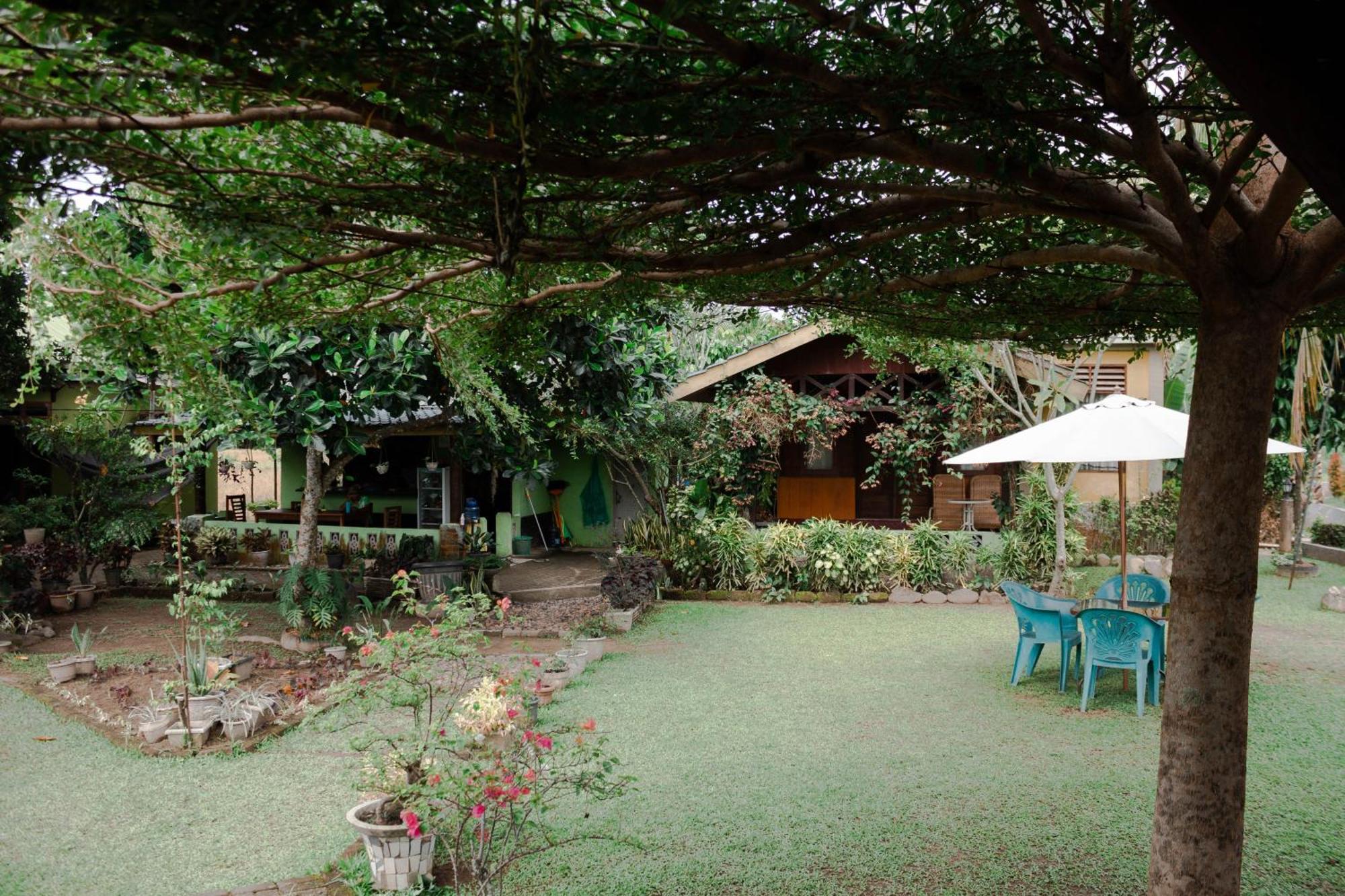 בוקיט לוואנג Ambow Homestay Jungle Trekking & Village Tour מראה חיצוני תמונה