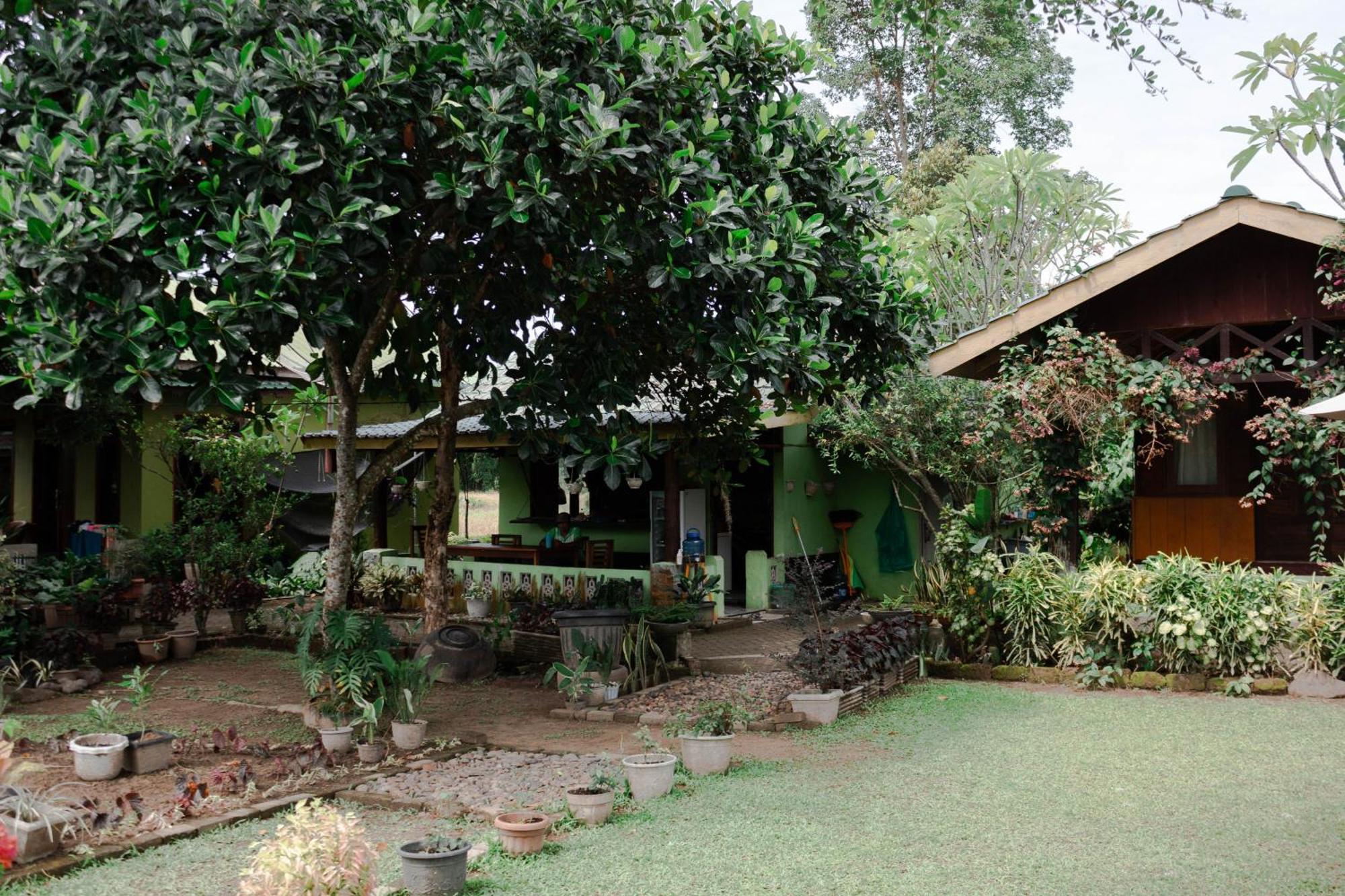 בוקיט לוואנג Ambow Homestay Jungle Trekking & Village Tour מראה חיצוני תמונה
