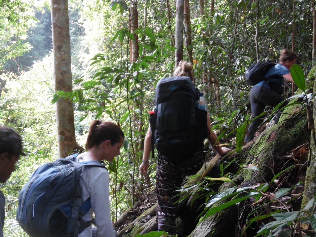 בוקיט לוואנג Ambow Homestay Jungle Trekking & Village Tour מראה חיצוני תמונה
