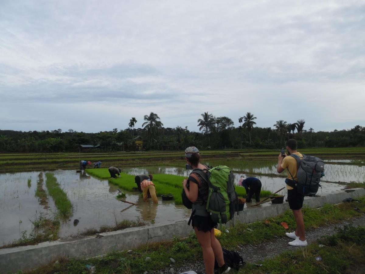 בוקיט לוואנג Ambow Homestay Jungle Trekking & Village Tour מראה חיצוני תמונה